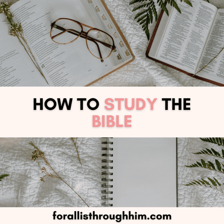 HOW TO STUDY THE BIBLE (+ Free Bible Study Guide)