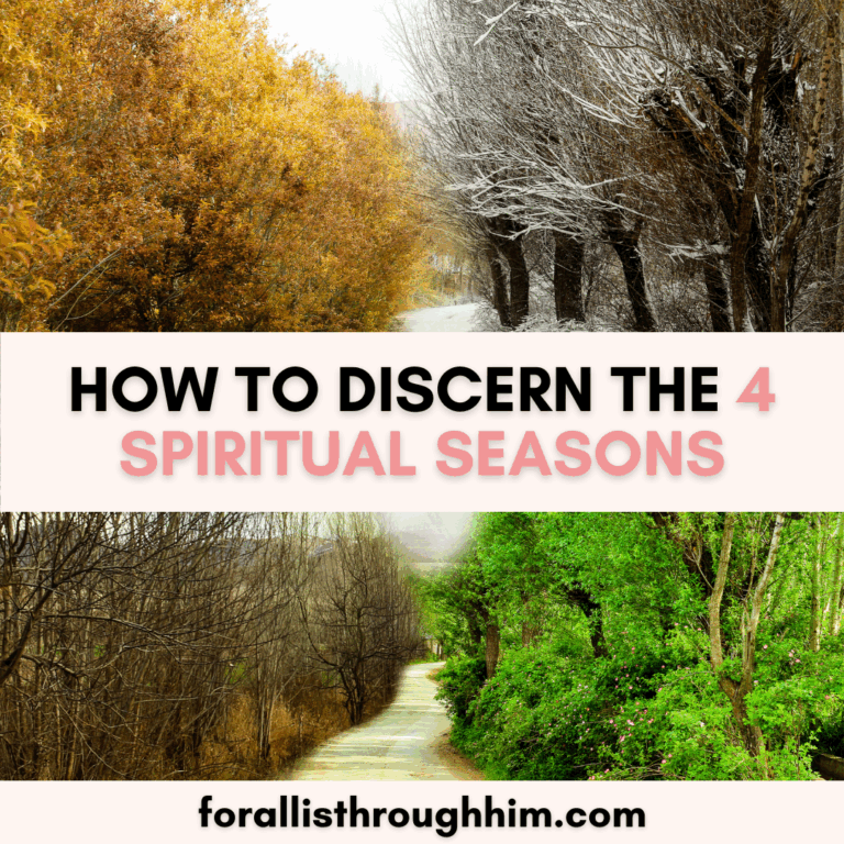 HOW TO DISCERN THE 4 SPIRITUAL SEASONS